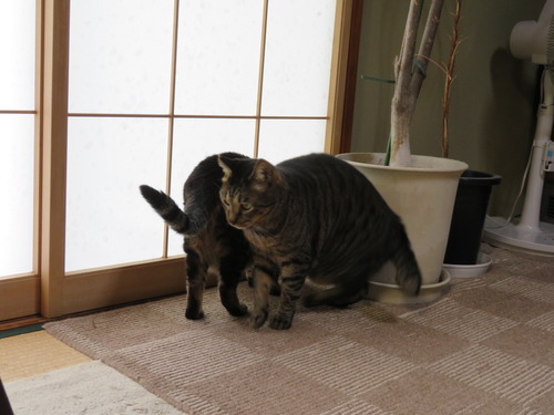 何見える?