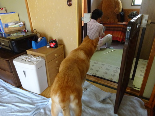 いってらっしゃ〜い
