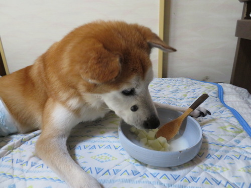 りんご