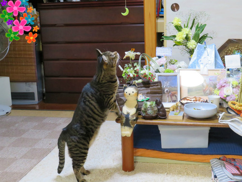 気になる