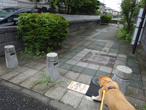 近道して