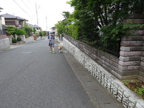 相変らずトボトボだけど