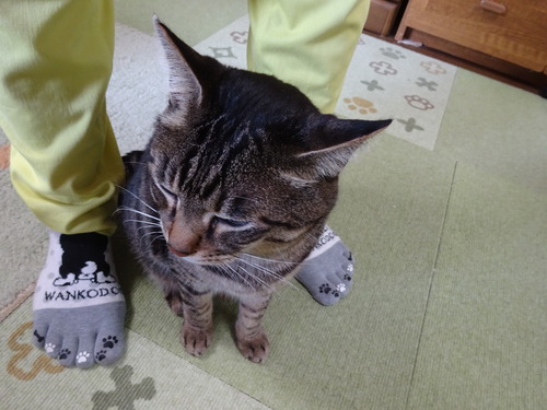 終わるまで
