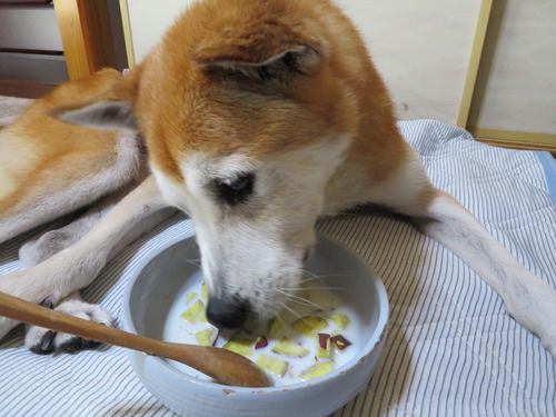 さつま芋ウマウマ
