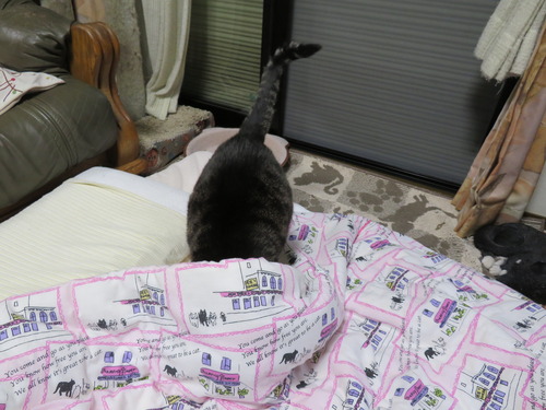 一緒に寝る?