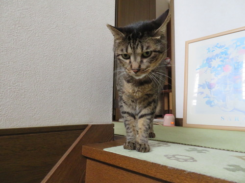 2階に様子を見に行くと