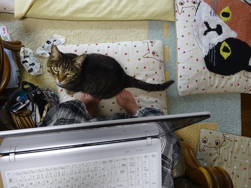 足元に