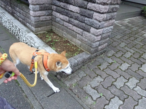 ただいま〜