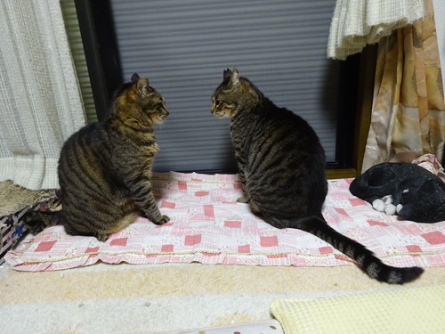 怪しい雰囲気