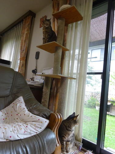 2ショット