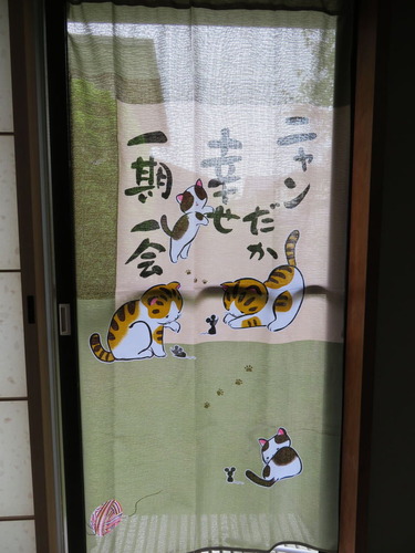 ニャンだか幸せ一期一会