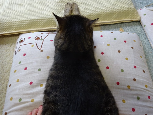 ななみ