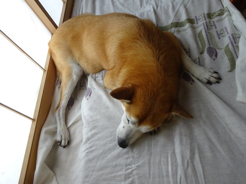 りょう