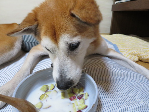 さつま芋の牛乳かけ