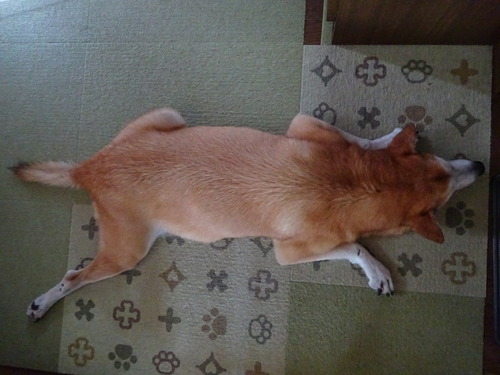 ずっと