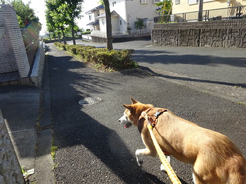 行きはアシスト