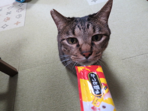 たくみが