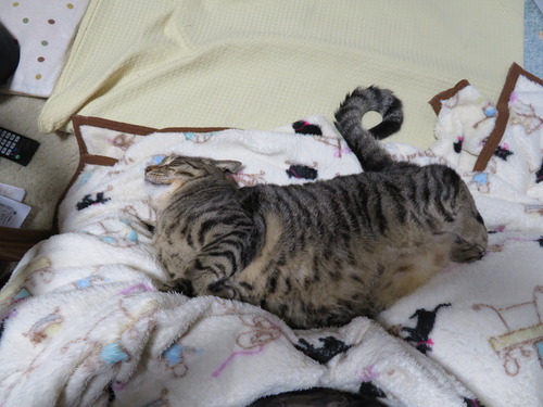 お母ちゃんの足元で