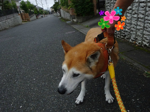 行きはアシスト