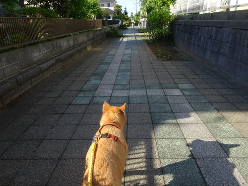 近道