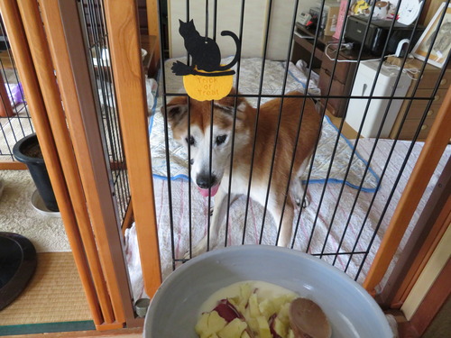 立ちあがって