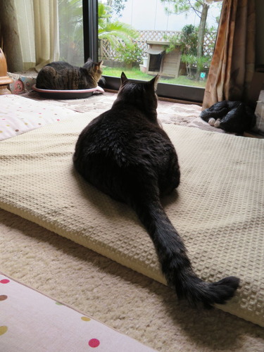 おやつを食べた後