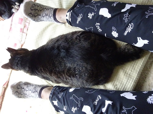 3たくみは