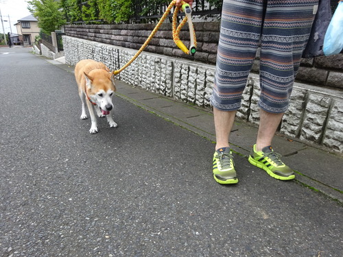 ゆっくり