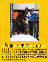 5番イチゴ