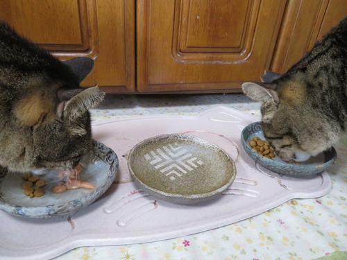 ならんでウマウマ