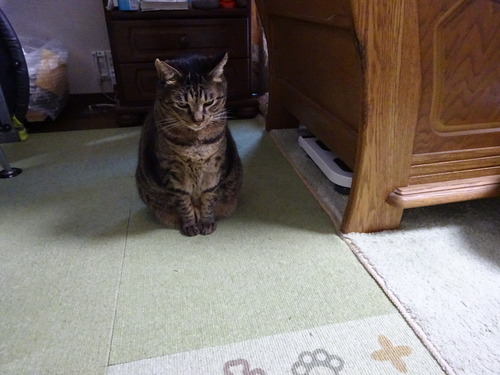 どこ行くの?