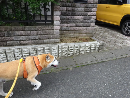 ただいま〜