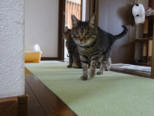 1階に行こう