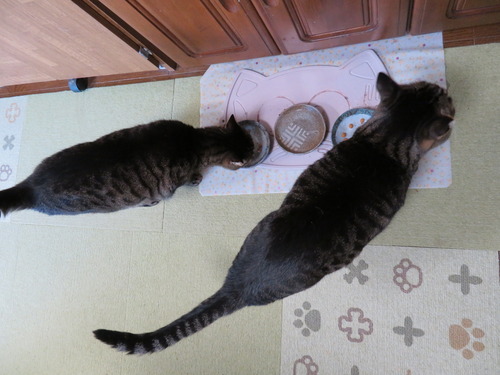 一緒に一階に