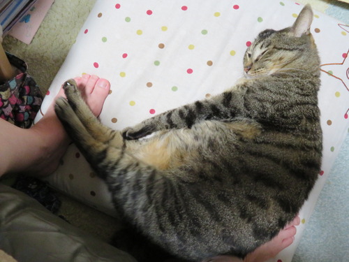 おかあちゃんの足元