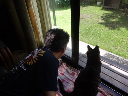 何が見えてるの?