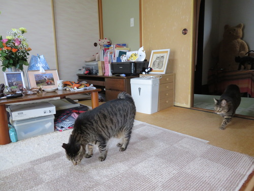 部屋の中を