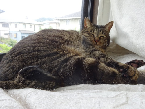 眠いのに