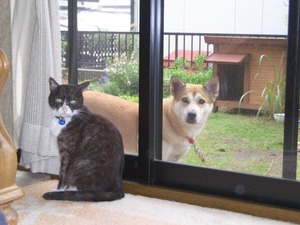 そっくす&りょう