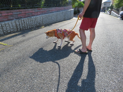 出たいけどなかなか