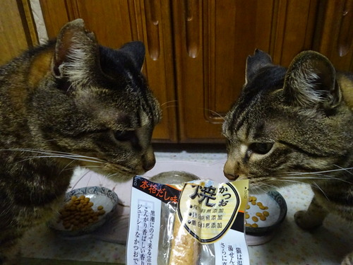 やっと焼きカツオ