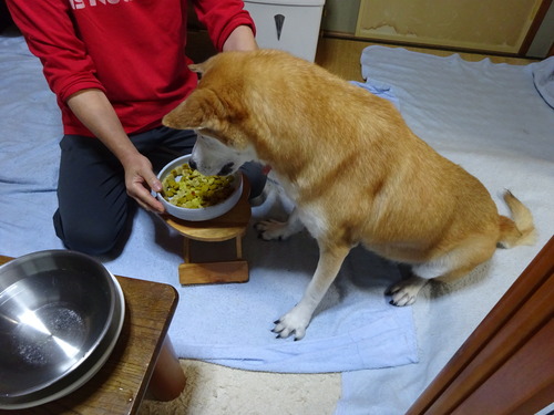 食欲は