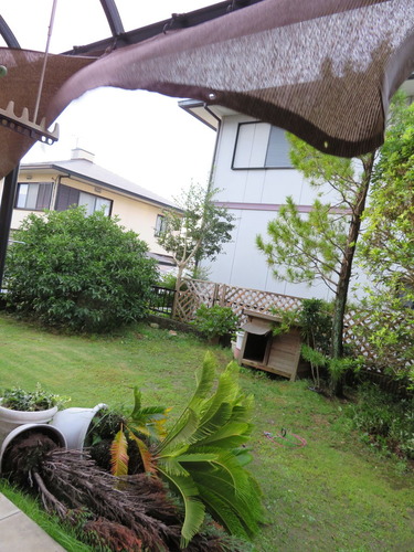 植木鉢と日よけ
