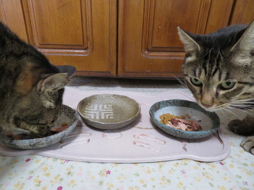 美味しいよ