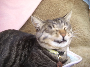 ファッ・・・