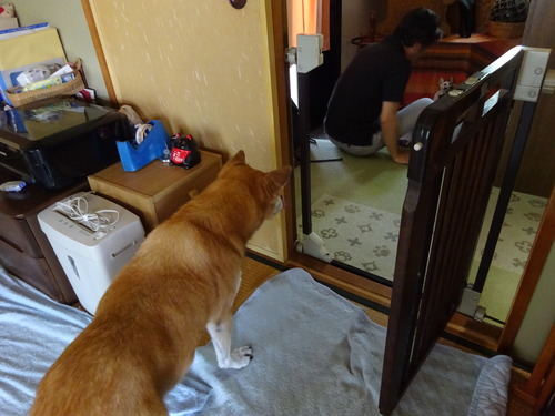 立ちあがって