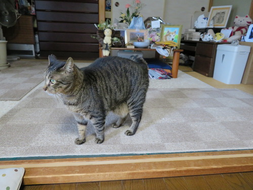 下りてきて