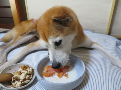 ウマウマ