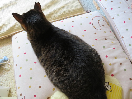 お願いだから