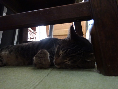 キッチンテーブルの下